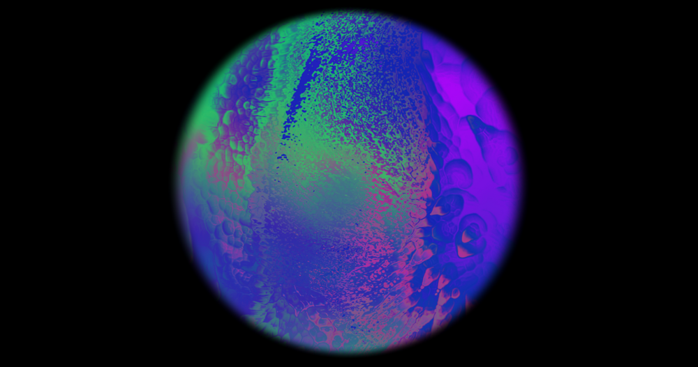 Inside My Laptop, VII edizione