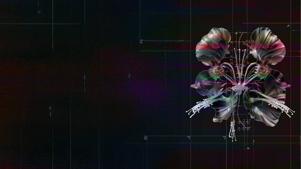 Inaugurazione dell'Anno Accademico 2025/26