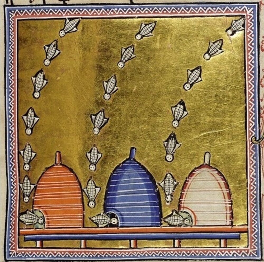 Virtus Zallot al convegno 