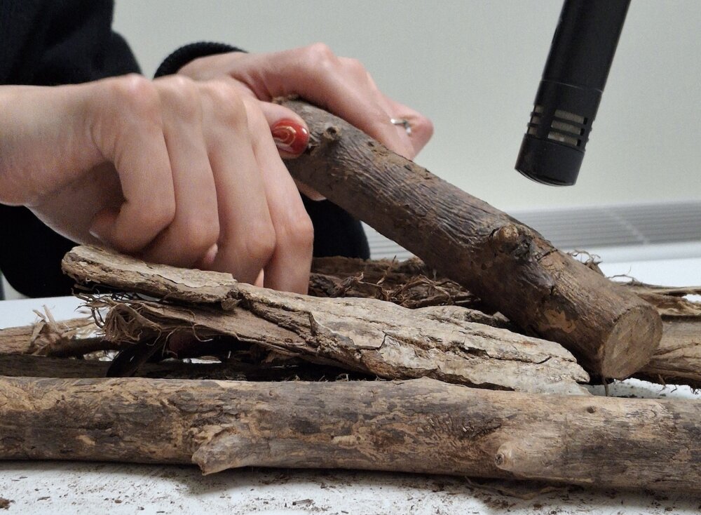 “Echi di un tempo”: installazione sonora in mostra al Museo Bergomi di Montichiari “Echi di un tempo”: installazione sonora in mostra al Museo Bergomi di Montichiari