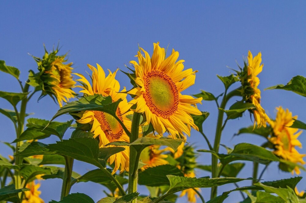 Agosto 2025: orari uffici e chiusura estiva