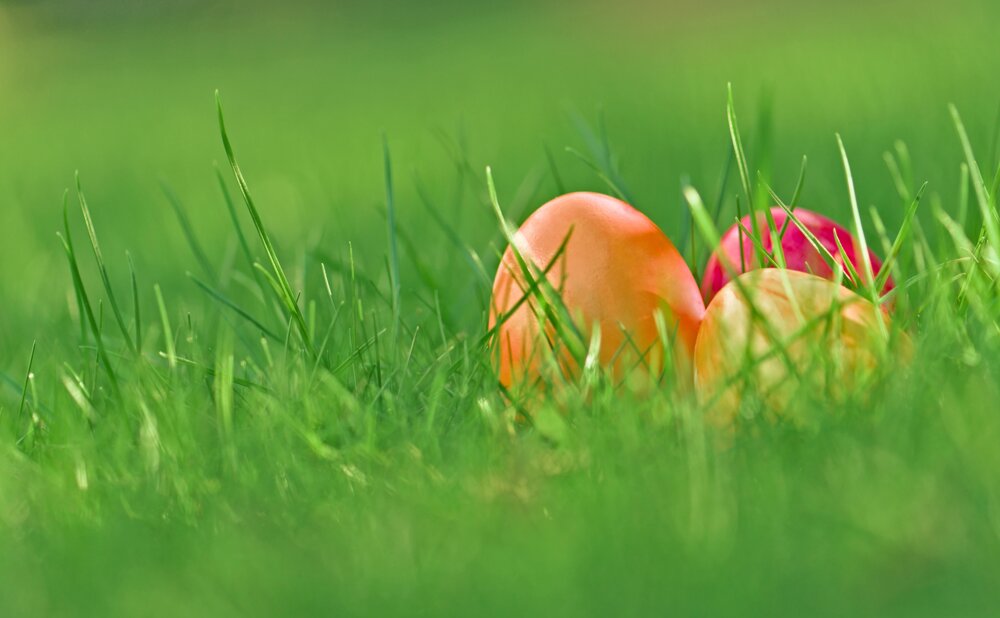 Chiusura di sede per le festività pasquali 2026