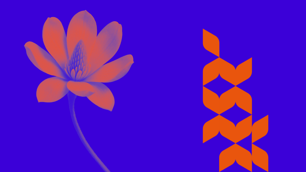 Dona il tuo 5x1000 al Gruppo Foppa