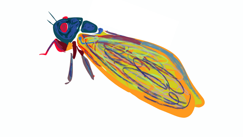 Open call: Le cicale Illustrate - 5ª edizione 