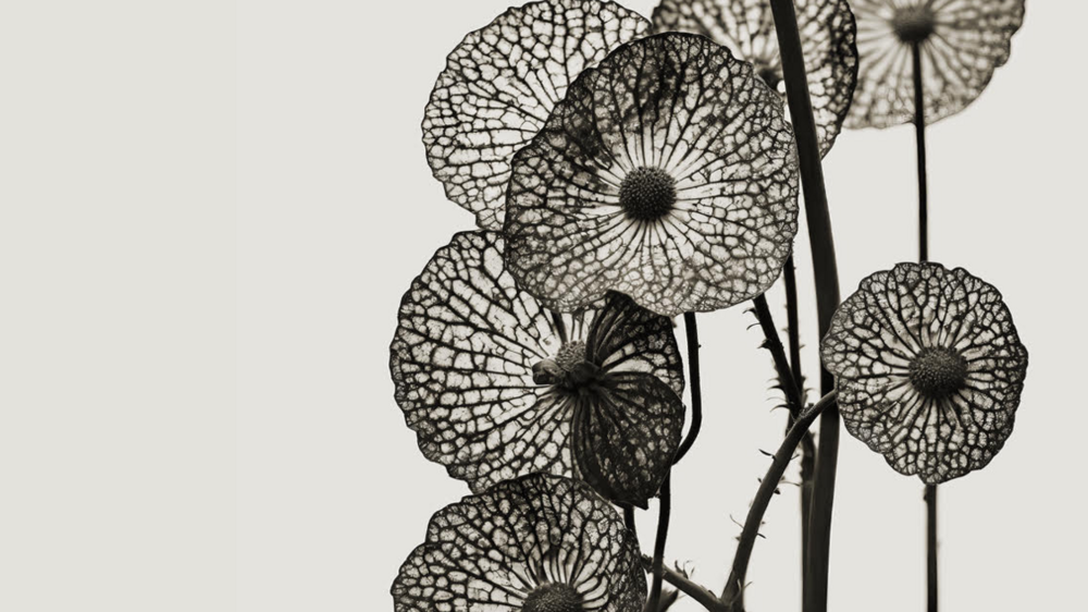 Joan Fontcuberta ospite in Aula Magna