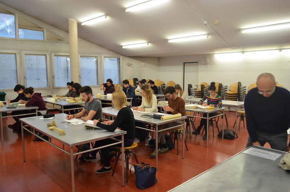 Laboratorio di disegno anatomico
